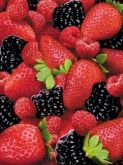 Polpa de frutas vermelhas - DeMarchi