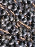 Polpa de açai - DeMarchi