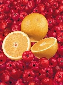 Polpa de acerola com laranja - DeMarchi