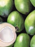 Polpa de Coco - DeMarchi